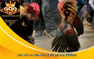 các rủi ro cần chú ý đá gà tre 999bet